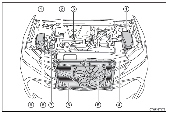 Compartiment moteur